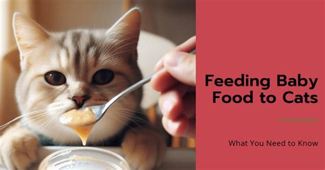 can cats eat baby food: A Curiosity-Driven Delve into Pet Nutrition and Human Food Substitutes