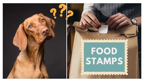 can i buy dog food with food stamps can we use food stamps to purchase pet supplies?