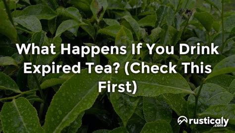 can i drink expired tea? What if the tea was left in a refrigerator for a long time?