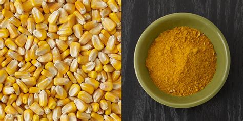 what is corn gluten meal in dog food? And how does it compare to other proteins?